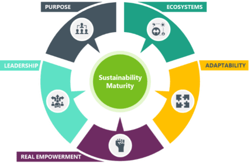 Sustainability action through PEARL | News | Q5 Partners