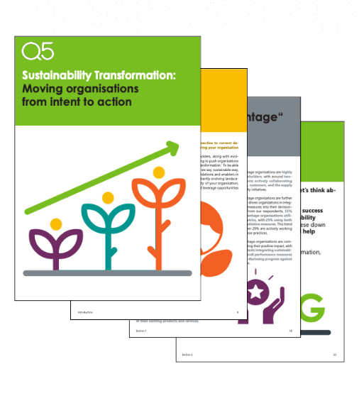 Sustainability transformation: moving organisations from intent to action